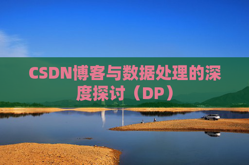 CSDN博客与数据处理的深度探讨（DP）